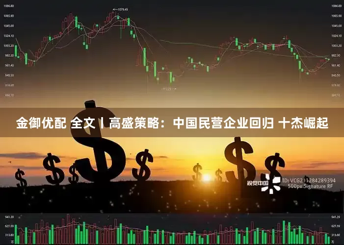 金御优配 全文丨高盛策略：中国民营企业回归 十杰崛起