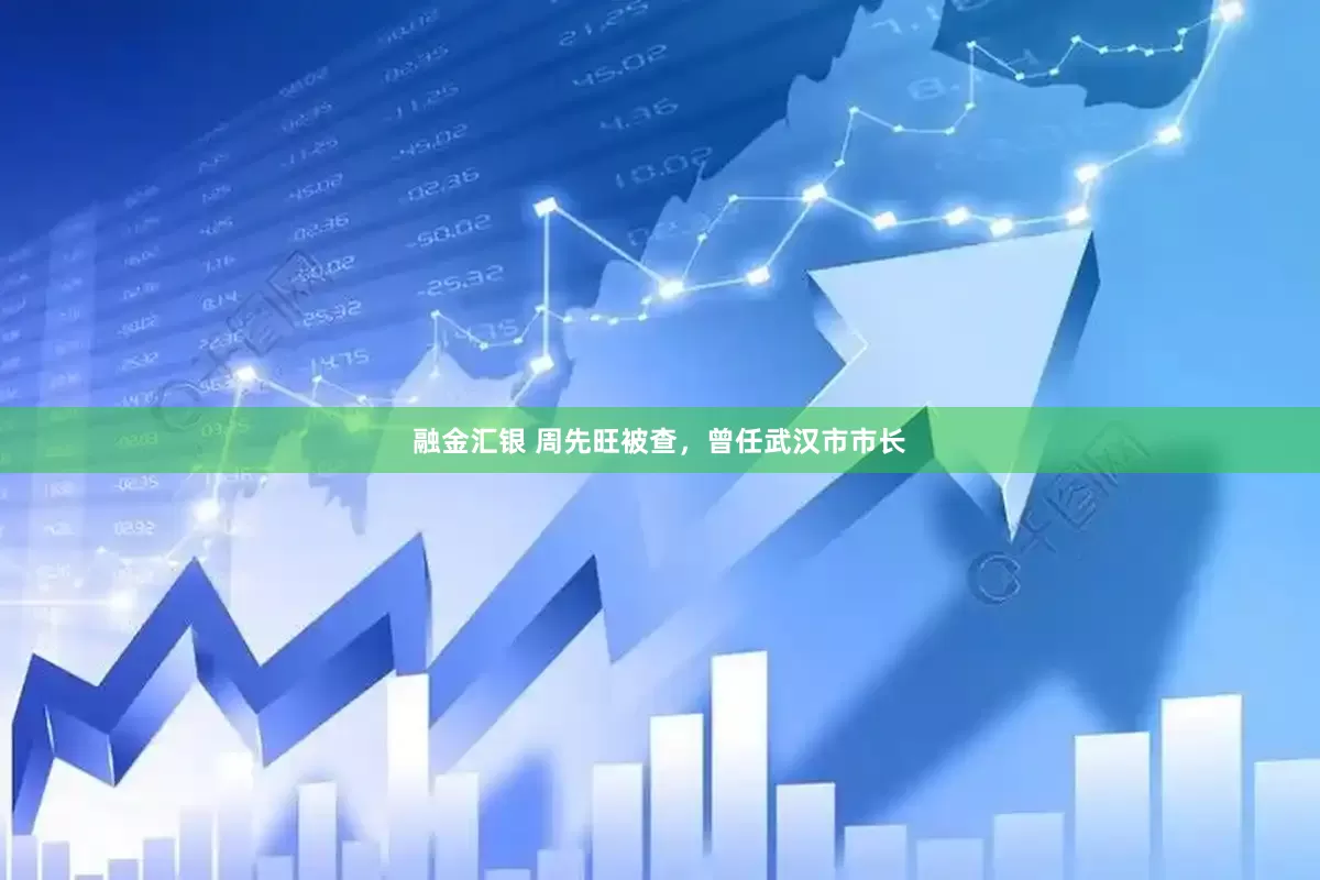融金汇银 周先旺被查，曾任武汉市市长