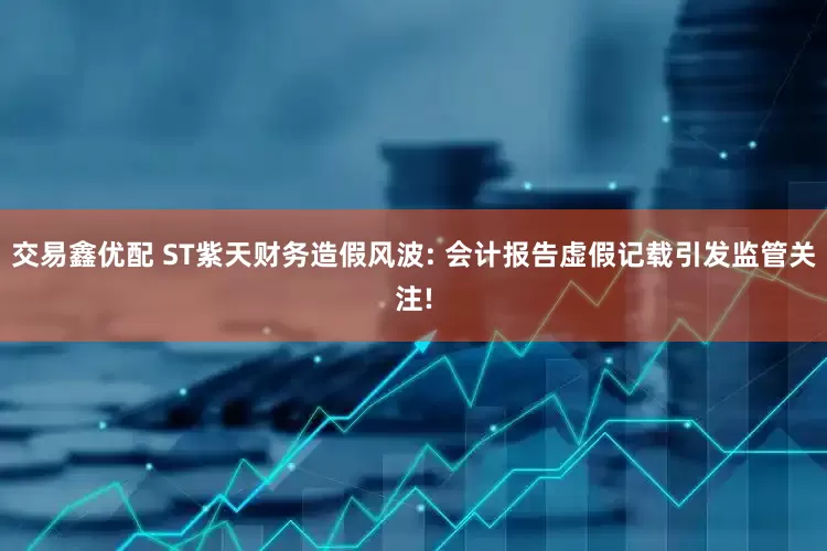 交易鑫优配 ST紫天财务造假风波: 会计报告虚假记载引发监管关注!