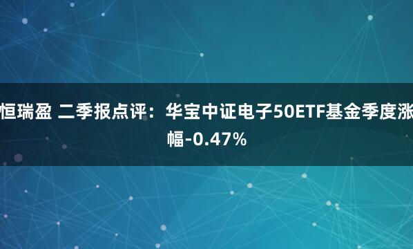 恒瑞盈 二季报点评：华宝中证电子50ETF基金季度涨幅-0.47%