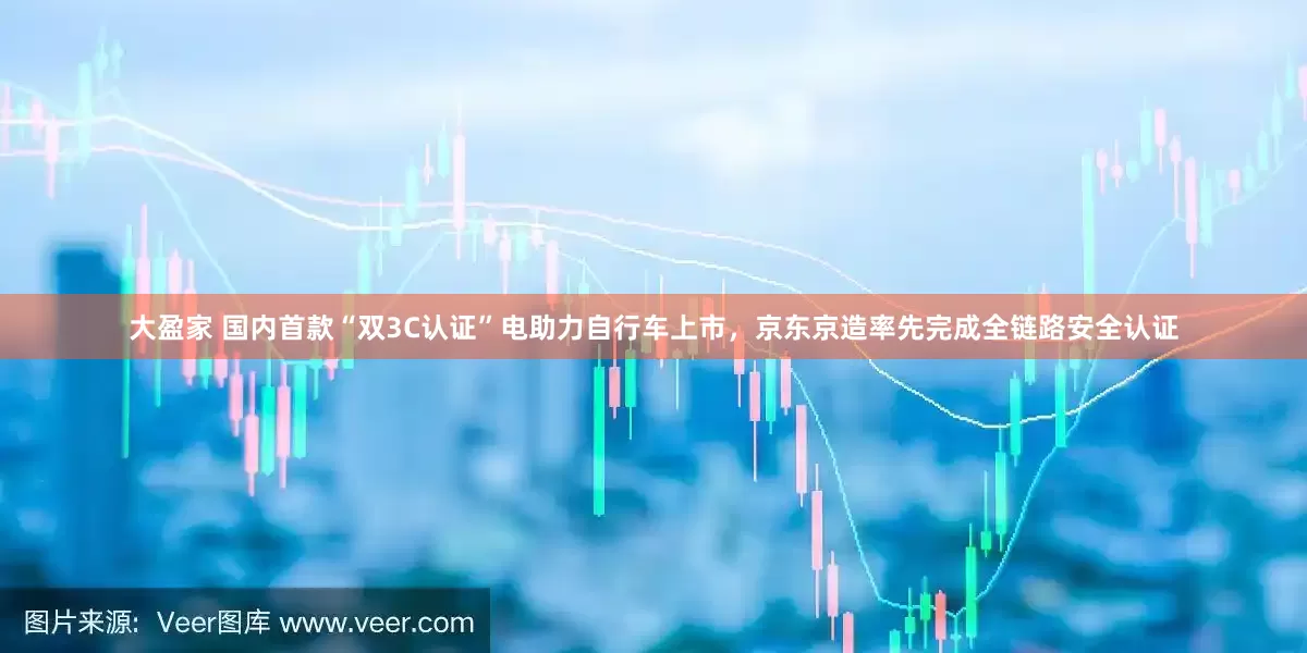 大盈家 国内首款“双3C认证”电助力自行车上市，京东京造率先完成全链路安全认证