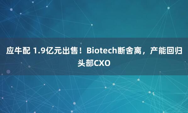 应牛配 1.9亿元出售！Biotech断舍离，产能回归头部CXO